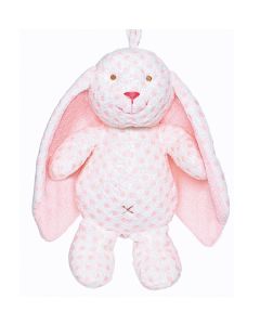 Teddy Baby Big Ears Kanin Speldosa